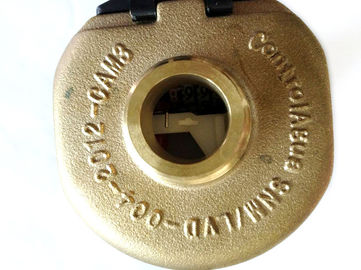 ทองเหลืองโรตารี่ลูกสูบมิเตอร์น้ำมาตรฐาน ISO 4064 R160, LXH-15A